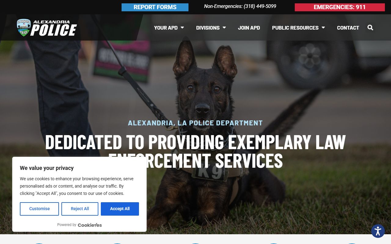 Alexandria Police Department website for booking releases and arrest records